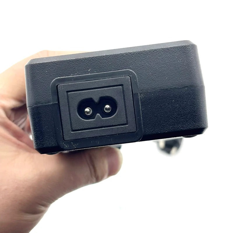 48V 2A European charger