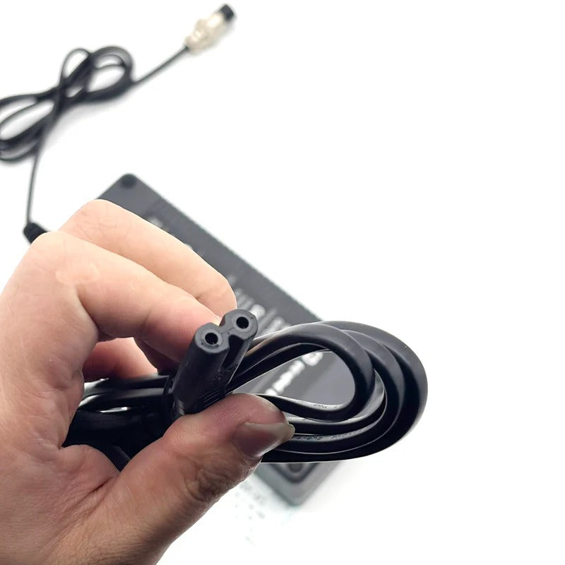 48V 2A European charger