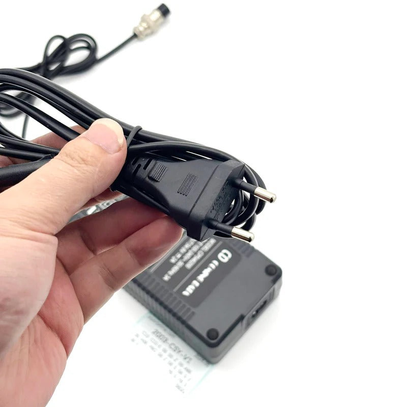48V 2A European charger