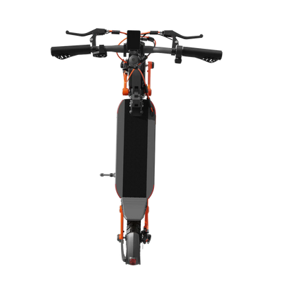 JOYOR S10-S-Z 1000 W Doppelmotor 85 km Reichweite
